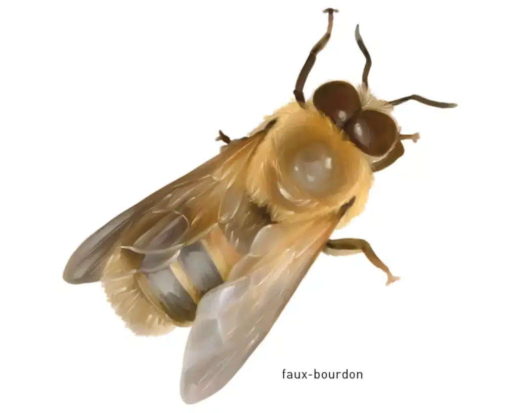 faux bourdon